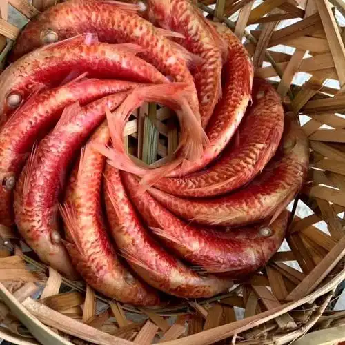 潮汕特产 鱼饭熟食红鱼 500 野生海捕红糟鱼 新鲜即食小红鱼 真包装