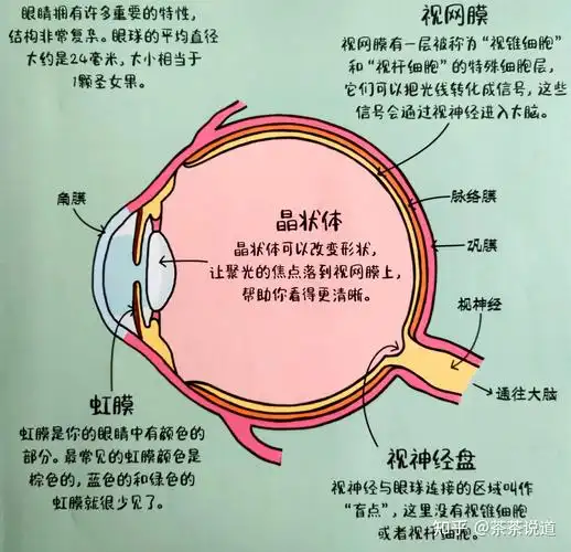 3个实用攻略4个缓解眼疲劳的方法助力孩子养成时刻保护眼睛的好习惯