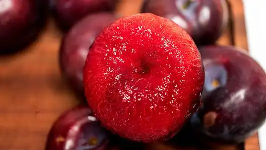 chafe高清图片粉玫瑰高清图片玫瑰苦包高清图片魔法小王子高清图片小