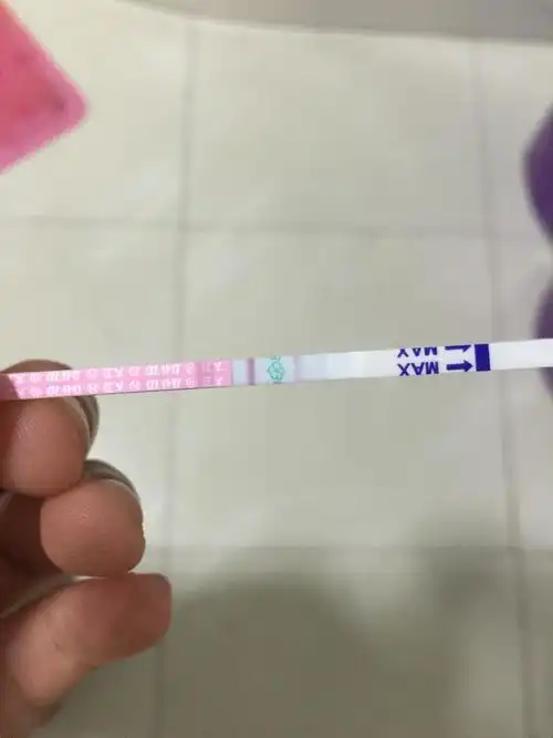 排卵试纸怎么看结果排卵试纸结果图解