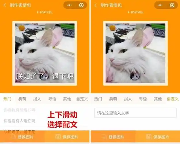 一键识别宠物还能顺手做个表情包?这是我玩过最瞎的小程序!