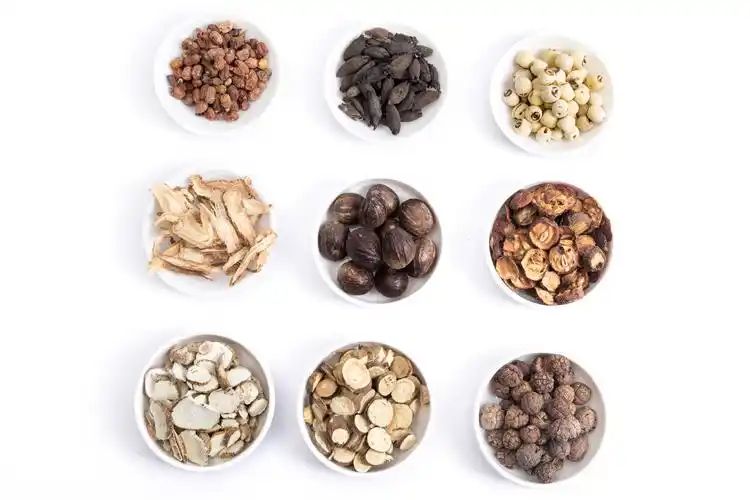 中药切片组合图片切片中药药材