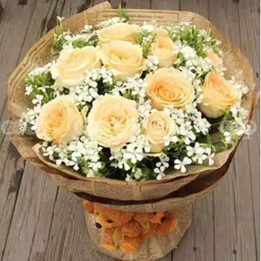 雪山玫瑰花语是什么?