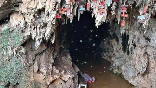 国内三个燕窝产地!