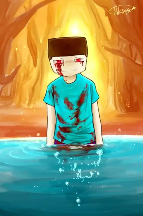 我的世界him与史蒂夫的对战