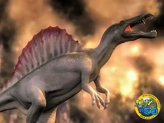 美国国家地理频道专题节目"奇特的恐龙"