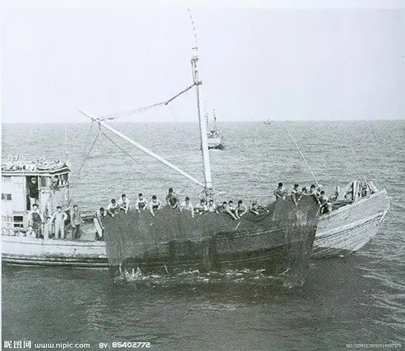 渔港老照片 渔港印象 捕鱼 沈家门渔港 老渔船 古帆船 沈家门 l绿眉毛