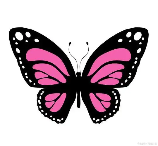 蝴蝶简笔画大全:基础,彩色,卡通,创意,应有尽有