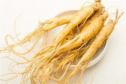 人参特写图片