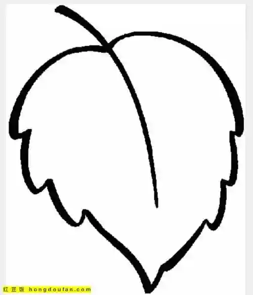 14张秋天不同形状的叶子卡通涂色儿童简笔画