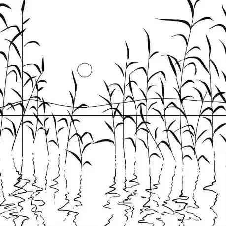 1:倒影弯曲的频率和大小要统一开始画之前77有两点需要提醒大家的