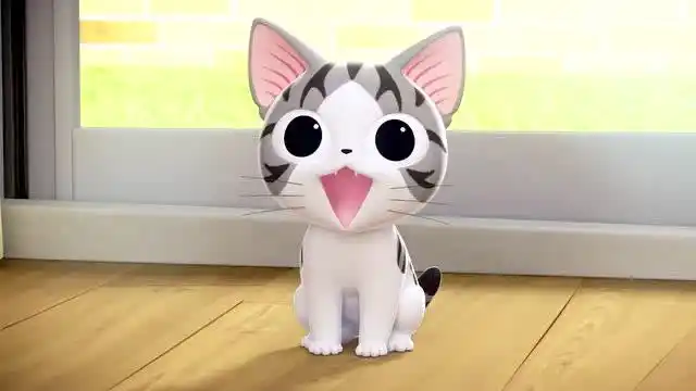 甜甜私房猫:小奇非常的可爱哦