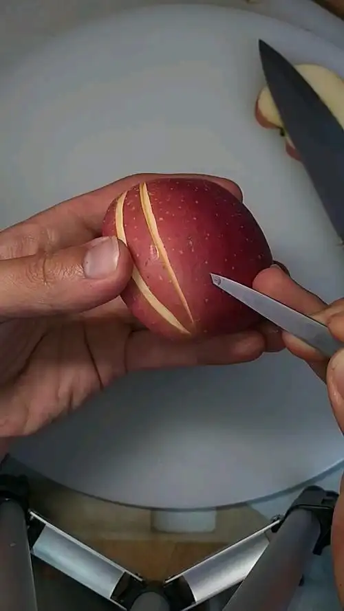 苹果花样切法教学