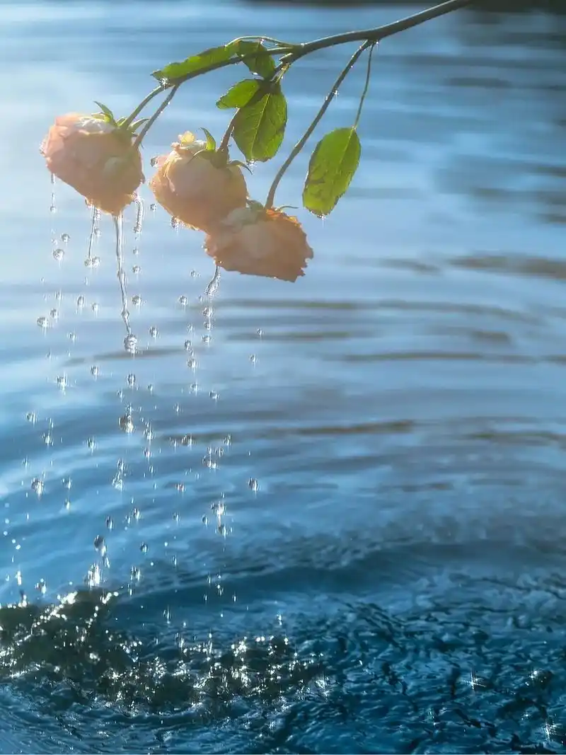 vivo,oppo,华为主题之一哦,赶紧下载保存吧#手机壁纸 - 抖音