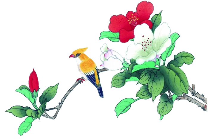 画鸟pngpsd2000*2000手绘花鸟装饰下载pngpsd2000*2000彩色时尚底纹