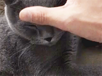 鹿晗鹿晗代言星战传说中的摸头杀