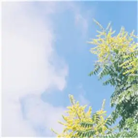 森系小清新头像这迷人的风景让你平静下来