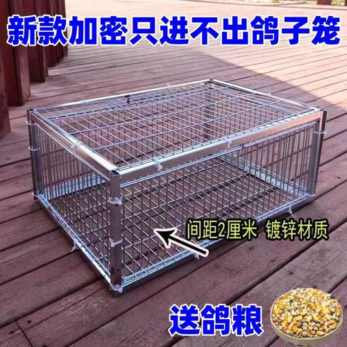 新款加密只进不出鸽子笼天落笼户外撞门笼收鸽笼捕鸽子神器