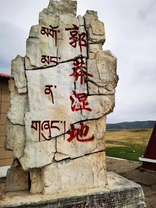 郭莽湿地—海拔3500.还是有点高反的.