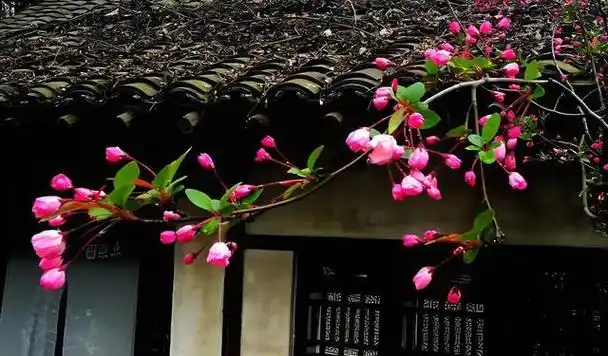 小楼周刊3872024年第13期