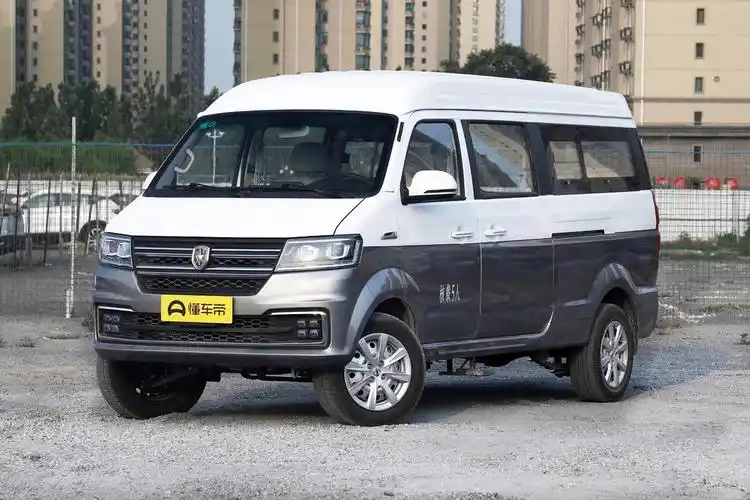 海狮s(金杯 轻客)