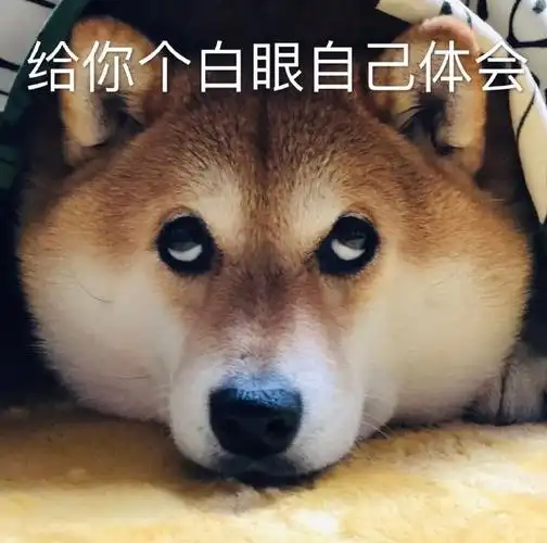 萌宠gif汪星人gif给你个白眼自己体会gif翻白眼gif呆萌gif可爱gif