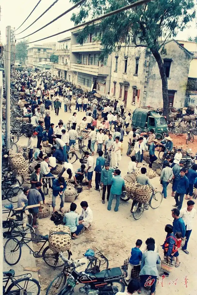 「改革开放再出发」40年前,这里还是广州的郊区
