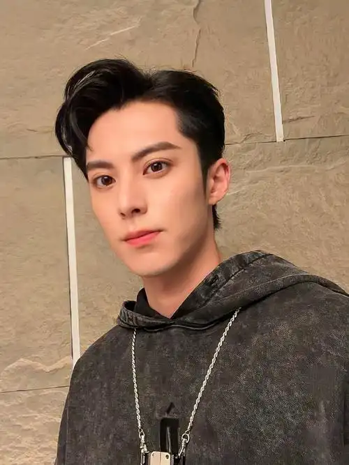 男明星对镜自拍模版王鹤棣没错了