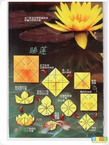 各种花的折纸方法