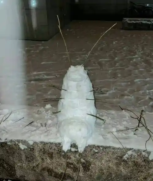 谁堆的雪人?笑死了,真是太有才了!_大哥_冰天雪地_哈尔滨