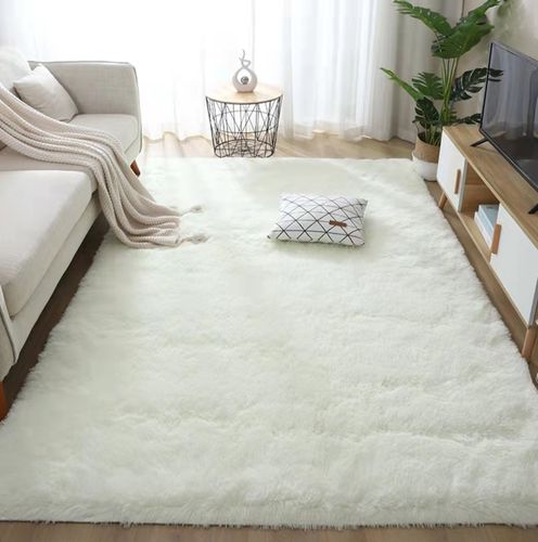 北欧ins地毯卧室满铺大面积少女房间床边毛毯地毯客厅茶几地垫