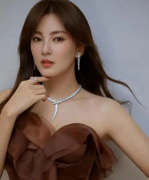 在娱乐圈这片璀璨的星空中,张雨绮无疑是一颗耀眼的明星.