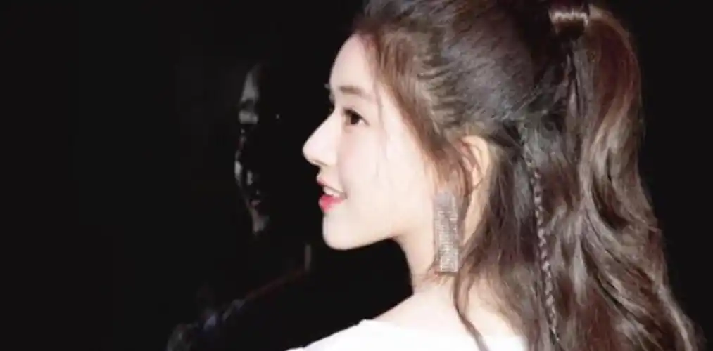 赵露思侧颜高颅顶