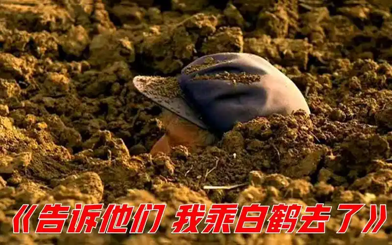 老人一听去世后火化在村外挖了个坑让孙子把自己埋了