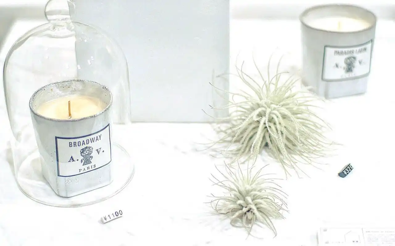 简约白色小清新静物唯美高清桌面壁纸