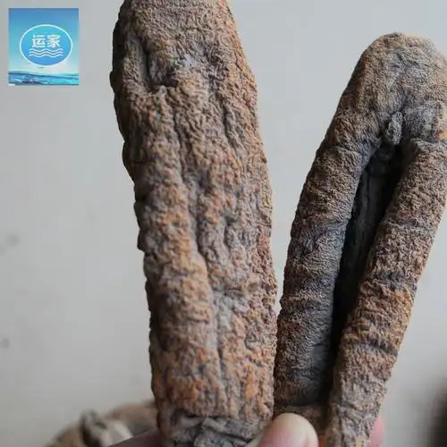 海茄子参海地瓜参批发 无泥中号茄子参 黄皮参淡干23头 肚子干净