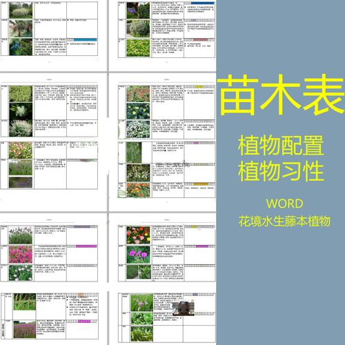 苗木表特色花境水生藤本植物植物分类习性配置精选word整理资料