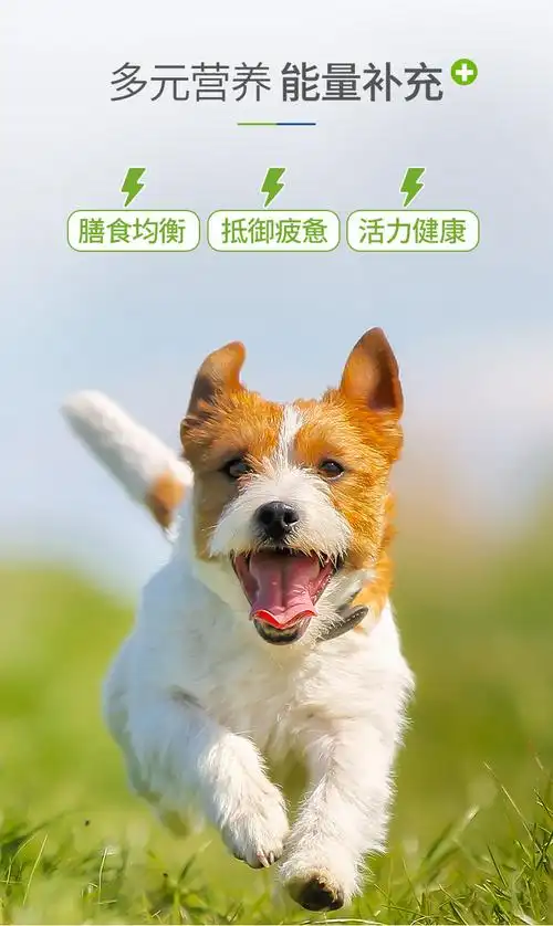 麦德氏inplus能力活力营养膏补充营养膏成犬幼犬营养补充55g/120g