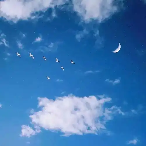 【背景图】超好看的微信朋友圈背景图