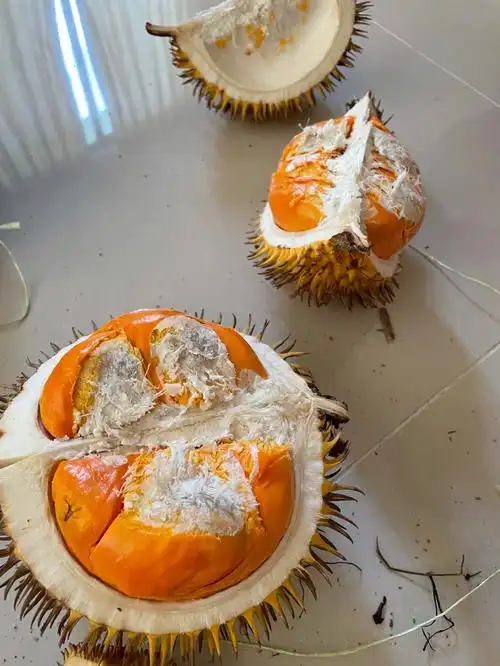 买到一个超级大的山榴莲