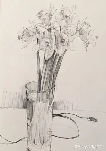 一组很简单的素描静物花瓶