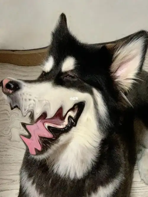 为了你我变成狼人模样