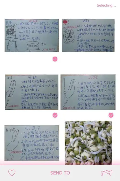 植物生长记录卡