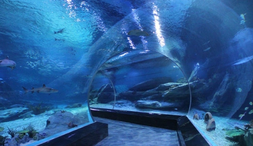 山东的亚洲最大极地海洋馆竟还供奉着猴子游客搞啥