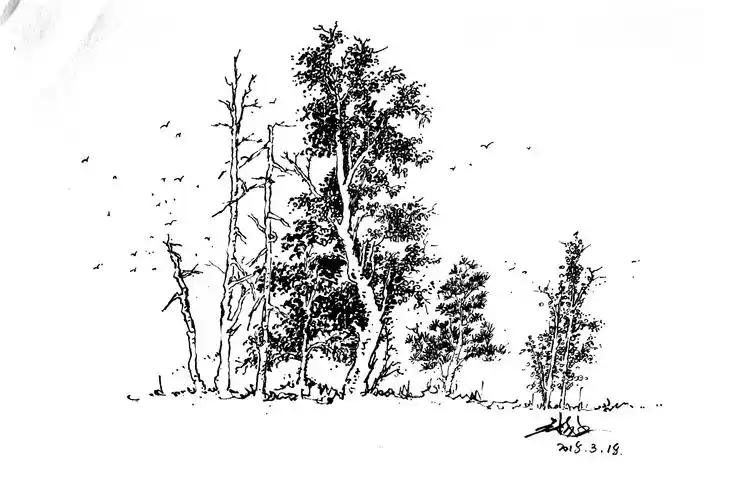 延杨红钢笔风景——故乡的记忆|纯艺术|速写|延杨红钢笔画 - 原创作品