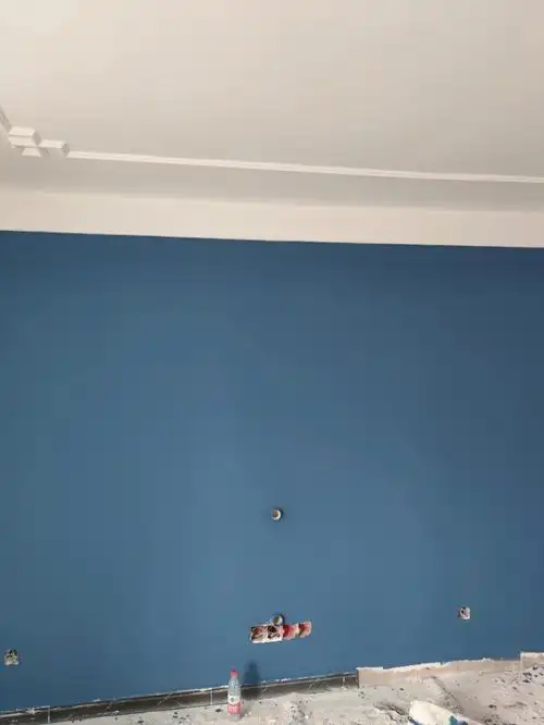 立邦乳胶漆北欧风情电视背景墙