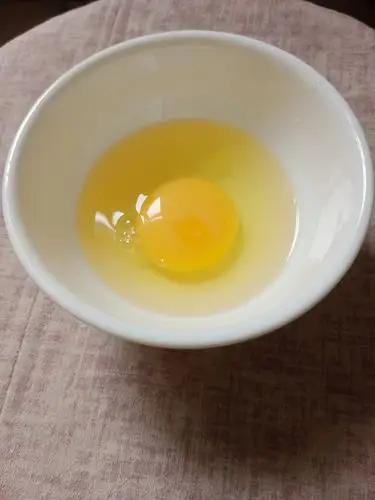 解剖鸡蛋 - 美篇