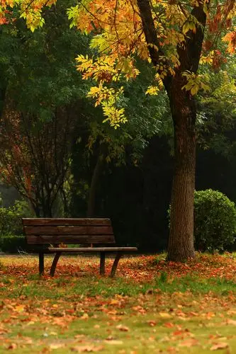 秋天 多彩的季节