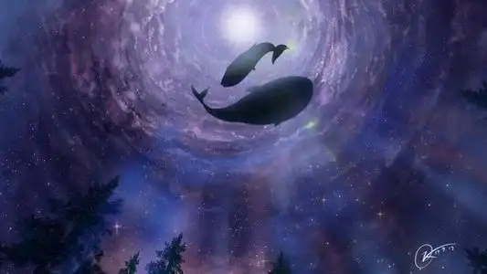 梦幻星空鲸鱼图片