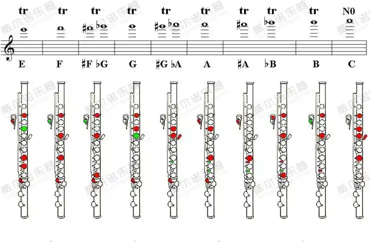 威尔诺乐器为您展示长笛基本指法图
